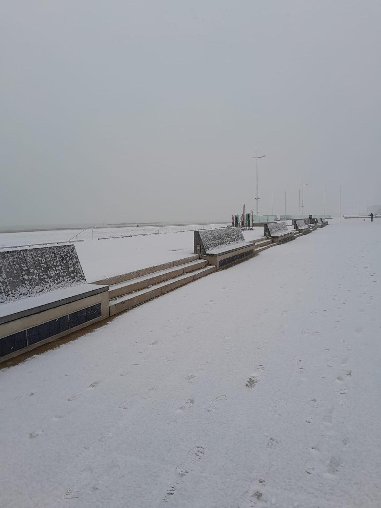 Maison De Ville Restylee Avec Jardin, Proche Gare Dunkirk المظهر الخارجي الصورة